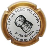 Placa 52b2c75c3399f_75d70a4ed134ce040fda034c28abec0c