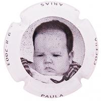 Placa 52e2b39dd6064_a295d45d2713897b5e67b07816df3e59