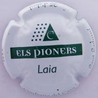 Placa
