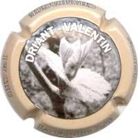 Placa 52e832da1c0ba_67b3cab1ae34b491f080a1d471b98a85