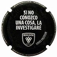 Autonòmica