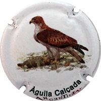 Placa 52ed3bb69af36_f2f83ea38518e1ef7b987261cde9db7b