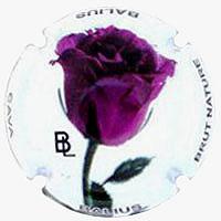 Placa 53db65fd79203_19acd7fa3e4876df8835d618e6752dfb