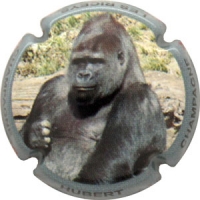 Placa 55b0b741a3812_cdb844198ab1dd73706d35b90ce0fc7b