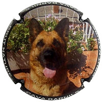 Placa 55f875d2c59ba_df5d15b069da26997861981051b755bb