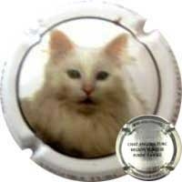 Placa 560ff48ae6b13_a03a5b16023383e0281d2b20dd6f7f9e