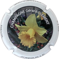 Placa 5613bc7f781e1_df15a0e73d40b809335a8b9026e79261