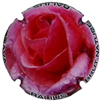 Placa 5682e2e400b96_ef07d22d50a507cef7fd500306f62f5b