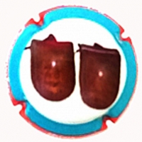 Placa 570f33e189812_4fc34f57d1e71c22c434b587ccba6169