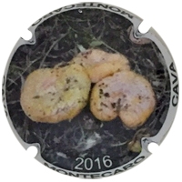 Especulació