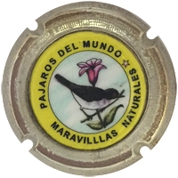 Pirules