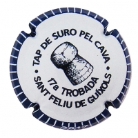 Placa 594c14c5572f6_4b7fe1831c9ea123befd2930095e20e0