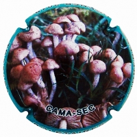 Pirules