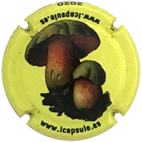 Placa 5e6b7102a9a5c_8d44d7124d98dba87fcbcab4fa8d9848