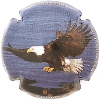 Placa 5e9098ff0047f_070ea6cc58a97787be9702da5471309d