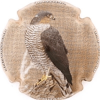 Placa 5e909d46bf5f5_3b4c2369bab7b523973d1216d37f933e