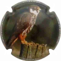 Placa 5e909f4cdcaf5_5716d181f0a81a401d676cd243165d6e