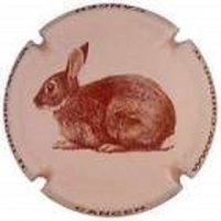 Placa 5fd4c213bd349_aeb686ad8e3a97cc6d67f65ade9c9daa