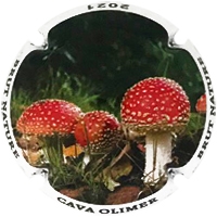 Placa 60101d3907551_7444188564b3e5b58928c90a38ba0110