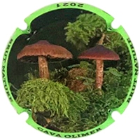 Placa 60101d94a8abf_df2f2b7f6e4d03402315e8428adefd06