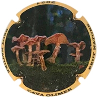 Placa 60101dec7556e_3e87867c06d6d5ad06a83dd416c42477