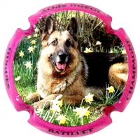 Placa 60ed7c17be7f2_2345c12ba246fd1b8a60e57d0c6ee6df