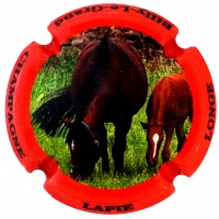 Placa 60ed950f146a8_63de3d5f88063e6c57c3dfaa3afbc0e9