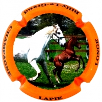 Placa 60ed957fd1e60_56db759a37f197b8f7bcf1d01a2b0f6d