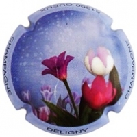 Placa 620cd9cd04df3_c4eb30f193acf2f7d218fe1803e17093