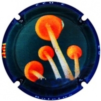 Placa 62becdf4992d5_e204e7cbb5149d93b308c8a16d369492