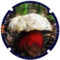 Placa 633a8dd9ba338_b092985506bdf64839b0356f9eed7cea