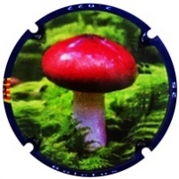 Placa 637cbce090c41_80f0f25e0e3effc04f7ba36b459d3122