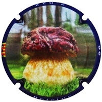 Placa 63806bbbdb0cc_19369565a563a036d554742e5015368c