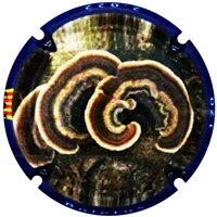 Placa 63a2379181d40_6d741dcbd93ad7135e529872bcb64a45