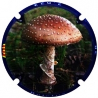 Placa 63d2f82252519_c89e8cec3ea8999d48a89bb5e2c13278