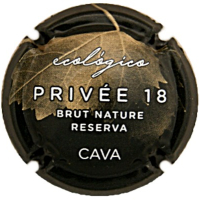 Placa 65ae6ee9eb683_0e2fa0331aa1acaf5611b37f3a26d0ca