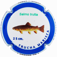 Placa 65c50356e30f6_4016dc1ab77f1008028b616426edc953