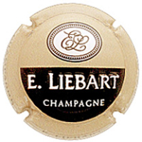 Placa 665ef21f4cb0c_e98ed52c6e080efabdb885260437f213