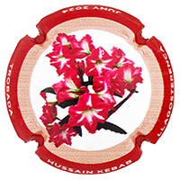 Placa 66749c1e80df6_5565cdb3bed1986f55f7e6b72d21aa68