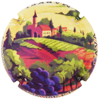 Placa 668fffc7860ca_5c2b637cc08e7280d34df884f1dfc255