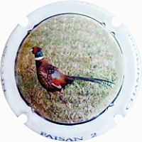 Placa 67a1ea504b912_fa0492f80fefb6c725bc337c65b4043b