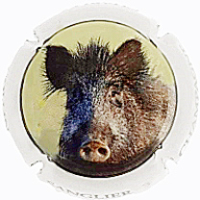 Placa 67a33e5723aa8_0c280a259d01ceb484436fe8026edbfb