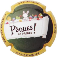 Placa 67b4d27d0b5a6_47c76b50a8d9da194216a42feced666a