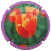 Placa 6824e2cf7a054_0949c4eade5fe84133991d97bb29fdf4