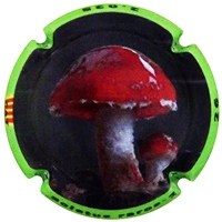 Placa 68333a232f33a_87d42c82f5863bbe1e4bb696221d6ca5