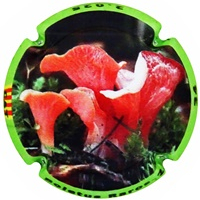 Placa 684f08a1dbb81_9121804ad39771d0856726735c79eaa5