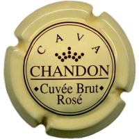 Placa 69654a51efac6_82652dcfafeef72b5a15991e0c2a0ccb