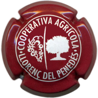 Placa