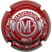 Placa
