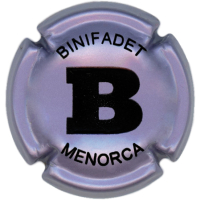 Autonòmica